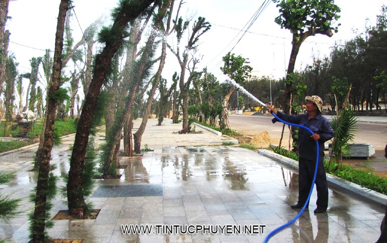 Công nhân đang chăm sóc cây xanh vừa được trồng trên tuyến đường đi bộ ven biển - Ảnh: THỦY TIÊN